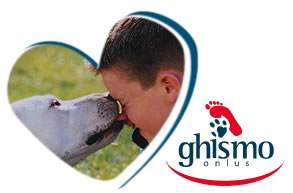 clicca qui per entrare nel sito